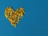 Jak obniżać cholesterol – skuteczne metody dietetyczne i styl życia